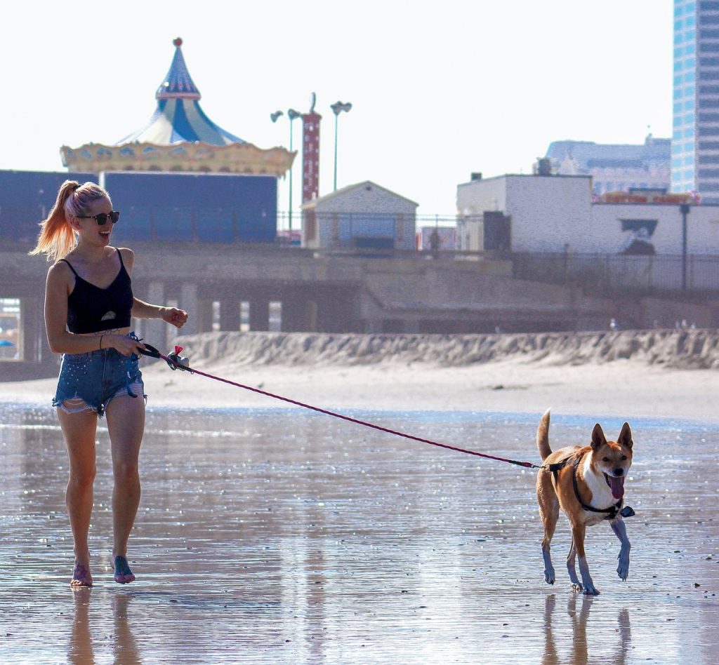 Les meilleures laisses extensibles pour chiens