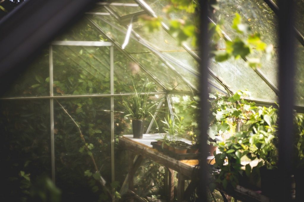 Les meilleures serres pour protéger nos plantes